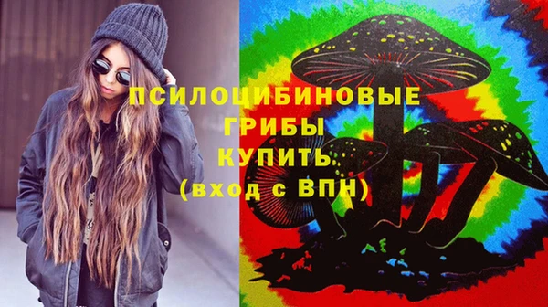 стафф Ростов