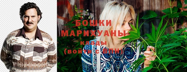 стафф Ростов