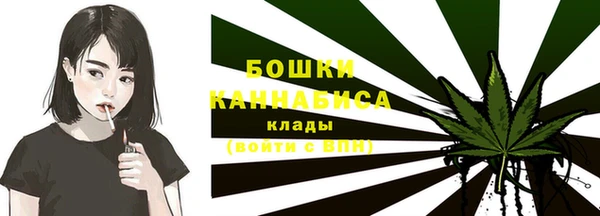 стафф Ростов