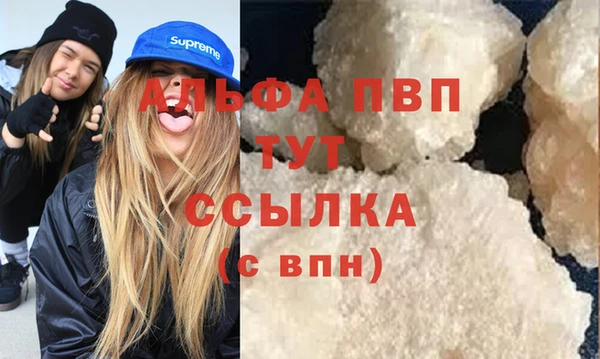 стафф Ростов