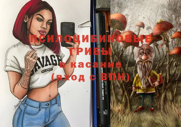 стафф Ростов
