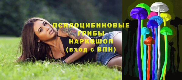 стафф Ростов