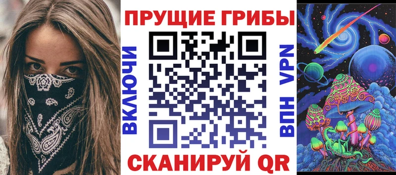 купить Стерлитамак Псилоцибиновые грибы Psilocybe